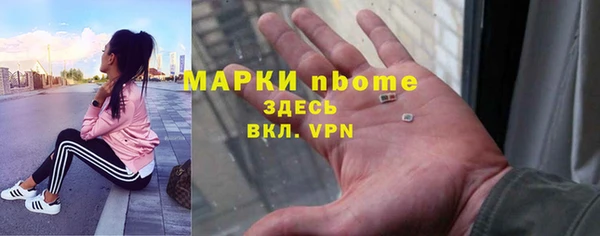 индика Алзамай