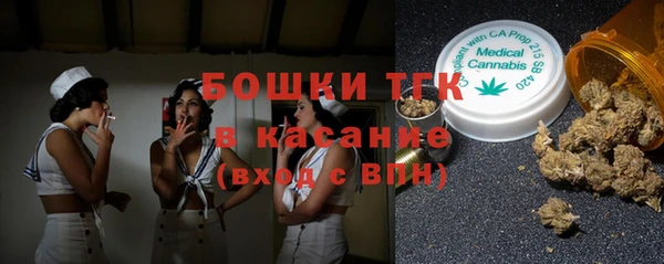 индика Алзамай
