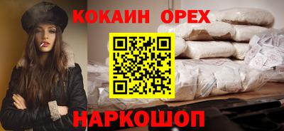 гашик Моздок