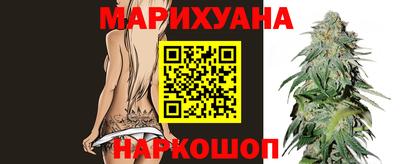 гашик Моздок
