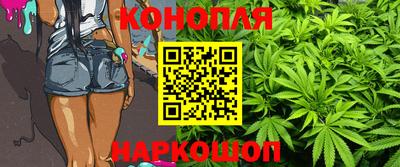 гашик Моздок