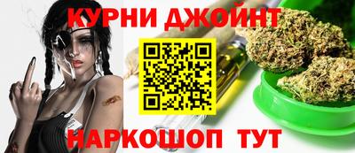 гашик Моздок