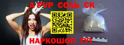 гашик Моздок