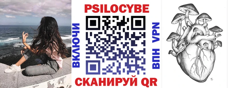 Псилоцибиновые грибы Psilocybine cubensis  Копейск 